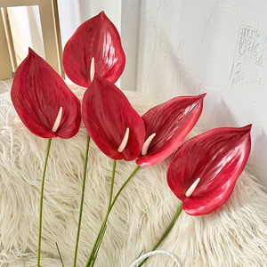 Fleur artificielle réaliste en Anthurium rouge imprimée en 3D avec effet filmé pour la décoration <span class=keywords><strong>de</strong></span> scène <span class=keywords><strong>de</strong></span> mariage et la photographie - Product Image 4