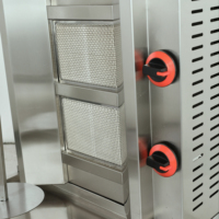 Machine à kebab/shawarma professionnelle écologique au gaz, en acier inoxydable, à deux brûleurs, pour hôtels et restaurants