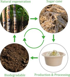 Custom Sugarcane Bagasse <b>Small</b> Cup 1oz 2 oz Disposable Bagasse Food Container Biodegradable Paper Sauce Cup With Lid - Product Image 2
