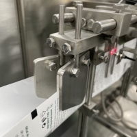 Horizontal Sachet Form-Fill-Seal Fine Powder Sugar Pouch Packing Machine Automatic