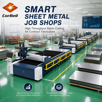 Mesin Pemotong Laser CNC Pabrik Produksi Massal Industri Pengolahan Plat Logam Presisi Kecepatan Tinggi 2G 132m/menit
