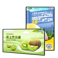 Pantalla Táctil Capacitiva LCD de 65 Pulgadas para Montaje en Pared, Kiosco Digital OEM con Resolución 4K, Reproductor de Publicidad Android Actualizado, IA Interactiva