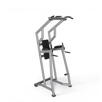 Equipo de Gimnasio Profesional de Lujo Multifuncional para Ejercicios, Barra de Dominadas, Máquina de Elevación de Piernas, Equipo de Gimnasio Comercial Completo