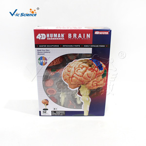 Structure du cerveau, modèle de cerveau 4D détachable et assemblable, modèle d'anatomie du cerveau humain - Product Image 1