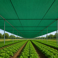 Filet d'ombrage en HDPE vert foncé, résistant aux UV 30%-95%, maille tricotée chaîne, respirant et durable pour serres, fermes et pépinières