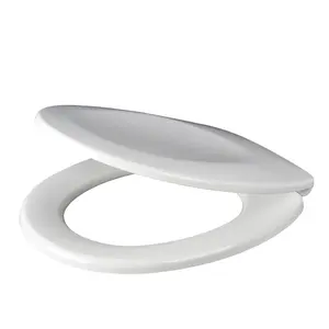 Sanitary Toilet Seat Appliance With Soft Close Quick Release