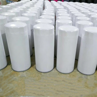 Filtre à carburant FF63055 ff5421 5598140 pour le fabricant de filtres d'accessoires de machines d'ingénierie