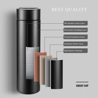 Bouteille d'eau intelligente avec capteur et affichage LED de la température, en acier inoxydable 304, double paroi isolée sous vide, vente en gros usine