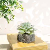 Fleurs artificielles, mini-pots en pierre, plantes succulentes, décoration d'intérieur tendance, accessoires de mariage et de photographie, vert, utilisation en intérieur