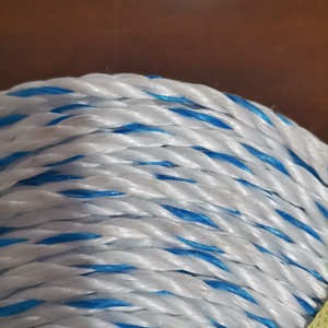 Corde d'emballage agricole torsadée à 3 brins en polypropylène Danline, corde synthétique polyvalente en nylon monofilament – Offre Spéciale - Product Image 3