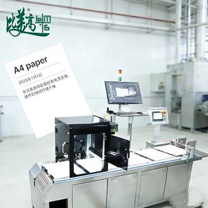 Machine de codage laser de précision avec alimentation et collecte automatiques pour feuilles et sacs individuels - Product Image 1