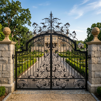Puerta de Patio de Hierro Forjado Ornamental de Lujo con Grabados Modernos y Apertura Automática para Villa y Parque