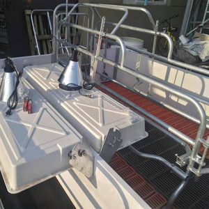 Box de maternité galvanisé pour truies d'élevage avec plancher en fonte - Product Image 5