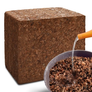 Vente en gros en vrac de copeaux de coque de noix de coco, de fibres de coco et de copeaux de coco aux États-Unis et au Canada - Product Image 4