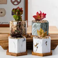 Amazon Hot Koop Mini Marmer Patroon Keramische Potten Voor Succulenten Hexagon Bloempotten Met Bamboe Lade