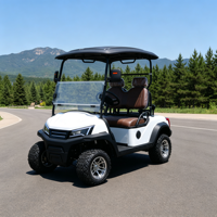 Voiturette de golf électrique fiable de haute qualité, 2 places, compacte, performante, avec batterie, pour les excursions
