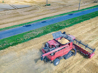 Moissonneuse-batteuse agricole AF88G 90 CV sur chenilles, efficace et à alimentation complète pour la récolte en ferme