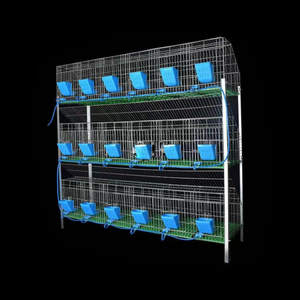 Fabricant Professionnel de Cages Commerciales à 4 Niveaux et 24 Compartiments pour l'Élevage de Lapins - Product Image 5