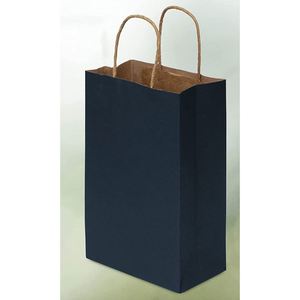 <b>Gift</b> Bags with Handles Colored Kraft Paper Shopping Totes for Wedding Event Guests <b>Small</b> Business Retail Recyclable Paper Bag - Product Image 2