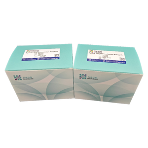 Kit Dissociação Medular (10 TESTE) Dissociação de Tecido para Pesquisa ISO 9001 BA3334 - Product Image 4