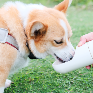 애완 동물을위한 마시는 피더와 스테인레스 스틸 개 물병 누출 방지 휴대용 강아지 물 디스펜서 야외 산책 - Product Image 6