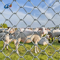 Malla de Alambre de Acero Galvanizado para Granjas, Cercas de Cadena para Ovejas, Ganado, Pastos y Terrenos