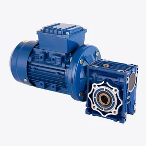 NMRV Worm gear Redutor De Velocidade Caixa De Redução De Worm Duplo Eixo De Entrada pequeno nmrv030 Caixa De Velocidades De Worm