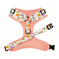 Ensemble laisse et harnais pour chien Zopet personnalisé en néoprène souple et polyester, nouveau modèle Pastèque Amour, avec pochette pour sacs à déjections et collier
