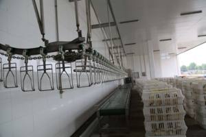 מכונת עיבוד שחיטה של עופות ODM OEM למפעל עיבוד עוף קפוא ומשחטה - Product Image 2