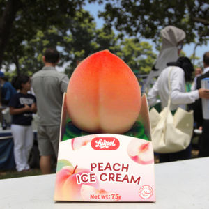 Cina buon produttore <span class=keywords><strong>3D</strong></span> gelato a forma di fragola di frutta in vendita - Product Image 3