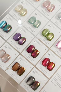 AILANUO Factory Customs DIY Magnet UV Gel Nail Polish Private Label Colorful Vegan Non-Toxic Cat Eye 9D Gel Polish - Product Image 3