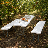 Ensemble table et banc de pique-nique pliables en plastique légers, robustes, peu encombrants et faciles à nettoyer pour jardin et cour arrière