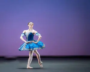 新款蓝色天鹅绒芭蕾芭蕾舞短裙裙芭蕾舞蹈表演服装女孩芭蕾舞图的舞蹈服装。新-月