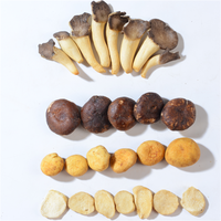 Mejor Precio al por Mayor de Hongos Mixtos Saludables y Naturales, Crujientes, Fritos y Salados en Caja con Certificado BRC