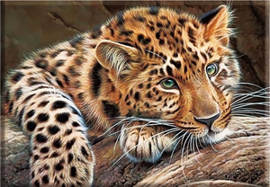 Hot Sale 100% Hand Embroidery <strong>Cross</strong> <strong>Stitch</strong> Printed Designs Diamond <strong>Cross</strong> <strong>Stitch</strong> Paintings <strong>Cross</strong> <strong>Stitch</strong> - Product Image 5