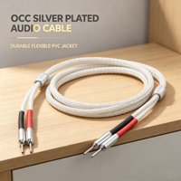 Câble de haut-parleur audiophile HiFi YIVO/OEM, conducteur en cuivre sans oxygène, gaine en PVC - Durable et flexible pour projecteur, microphone