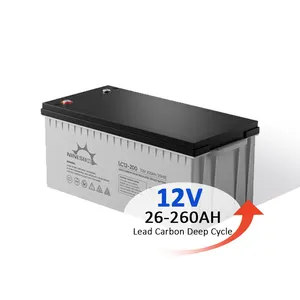 Hoge Kwaliteit 12V 200ah Grafeen Lood-Zuur Batterij 12V 100ah Diepe Cyclus Lood Koolstofbatterijen