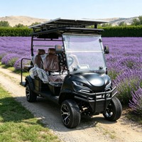 Voiturette de golf électrique robuste pour 4 passagers avec revêtement de couleur personnalisé et porte-bagages supplémentaire haute résistance