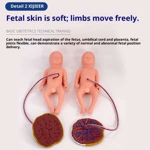 Nâng Cao Toàn Diện Đào Tạo Kỹ Năng Sinh Con Mô Hình Cho Phụ Nữ Mang Thai Nữ Tự Nhiên Sinh Mô Phỏng PVC Mô Hình Giải Phẫu - Product Image 3