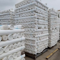 Tissu Pongee 75D 190T 100% Polyester Respirant Imperméable Léger Anti-boulochage Teint en croix Doublure tissée