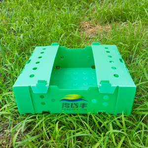 Caja corrugada <span class=keywords><strong>de</strong></span> PP Caja personalizada para embalaje <span class=keywords><strong>de</strong></span> okra <span class=keywords><strong>de</strong></span> 4KG 5KG 7KG - Product Image 1