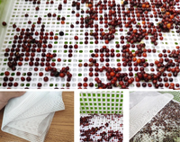 Tapis de maille réutilisable en Gel de silice, tapis de maille en Silicone, filet de plantation papier pour plateau de semis de plantes hydroponiques