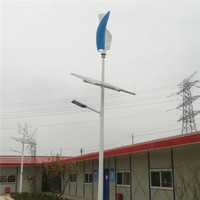Éolienne à Lévitation Magnétique à Axe Vertical Spirale 100W 200W avec Sortie 12/24V et Diamètre de Rotor de 0,48M