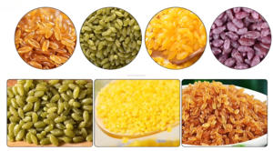 เครื่องอัดรีดเมล็ดข้าวเทียมเครื่องทำเกลียวคู่สายการผลิตข้าวสารเสริมอัตโนมัติ - Product Image 6