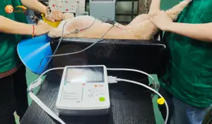SUN-6032 Électrocardiogramme médical Hôpital Vet Ecg Machine 3 canaux 12 plomb ecg machine avec analyseur