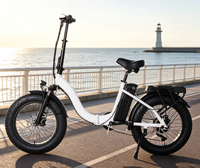 Vélo Électrique Pliant Tout-Terrain à Pneus Larges 20 Pouces, Deux Places, à Batterie, pour l'Extérieur - Vente en Gros Direct Usine - BE067
