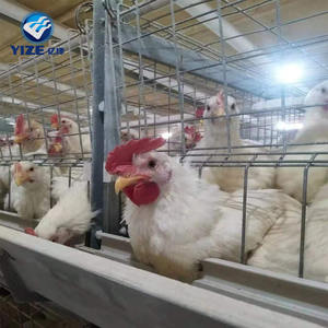 Tavuk kümesi planları ithalat kuş kafesleri tavuk döşeme kafes satılık 4 katlı 4 kapı 128 kafa set başına - Product Image 1