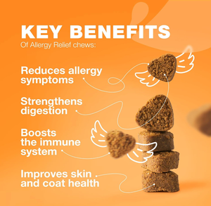 Grosir probiotik untuk anjing & enzim pencernaan untuk suplemen vitamin kesehatan pencernaan untuk alergi & kulit gatal & kekebalan tubuh - Product Image 3