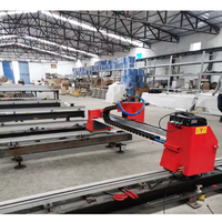 Cortadora de plasma CNC portátil 120A - Pórtico de doble vía, compatible con AutoCAD - Versión mejorada - Software de anidamiento CNC listo para enviar