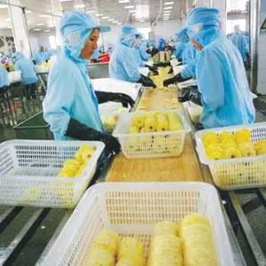 Production de pâte à partir de machines ananas machines de traitement de jus d'ananas